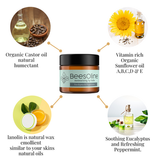 BeesOline Organic Lip Balm in Glass jars - 2Pack 100% Petroleum Free Moisturizing with Eucalyptus & Peppermint