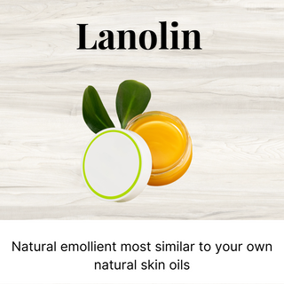 BeesOline Organic Lip Balm in Glass jars - 2Pack 100% Petroleum Free Moisturizing with Eucalyptus & Peppermint