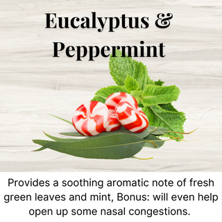 BeesOline Organic Lip Balm in Glass jars - 2Pack 100% Petroleum Free Moisturizing with Eucalyptus & Peppermint